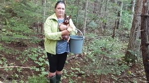 Тихая охота,на грибы.# Сахалин.