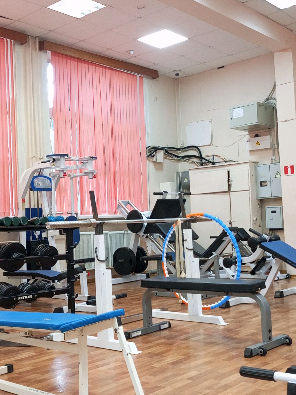 Тренировка 🤸