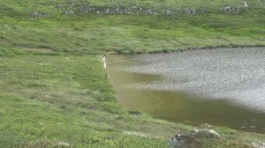 Рыбалка в тундре на Кольском полуострове 2025