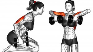 Тренировка с Гантелями — 12 упражнений