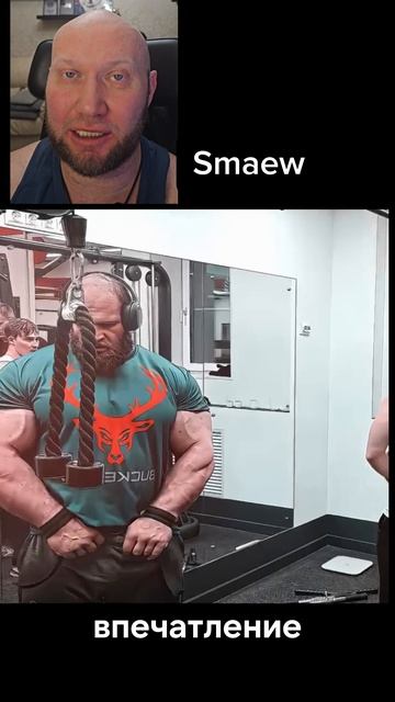 Актуальные размеры Андрея Смаева VS Рони Коулман смотреть онлайн