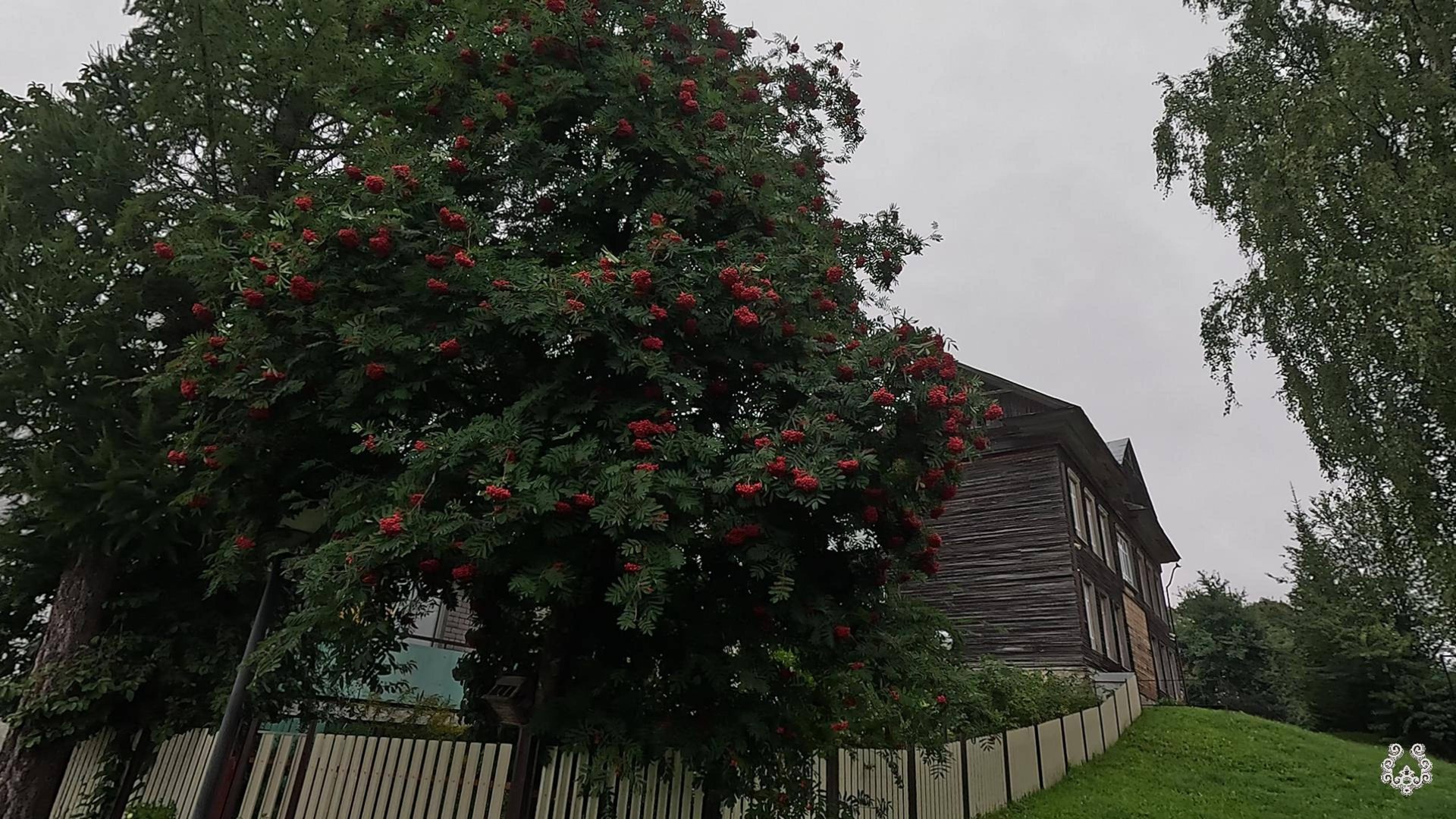 г. Тотьма, кусочек набережной. смотреть онлайн