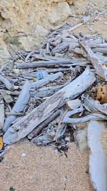 Опукский заповедник. Уборка. смотреть онлайн