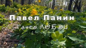 Танго ЛЮБВИ, Павел Панин, удивительная музыка