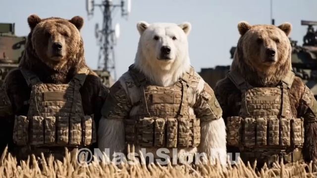 1733.mp4 смотреть онлайн