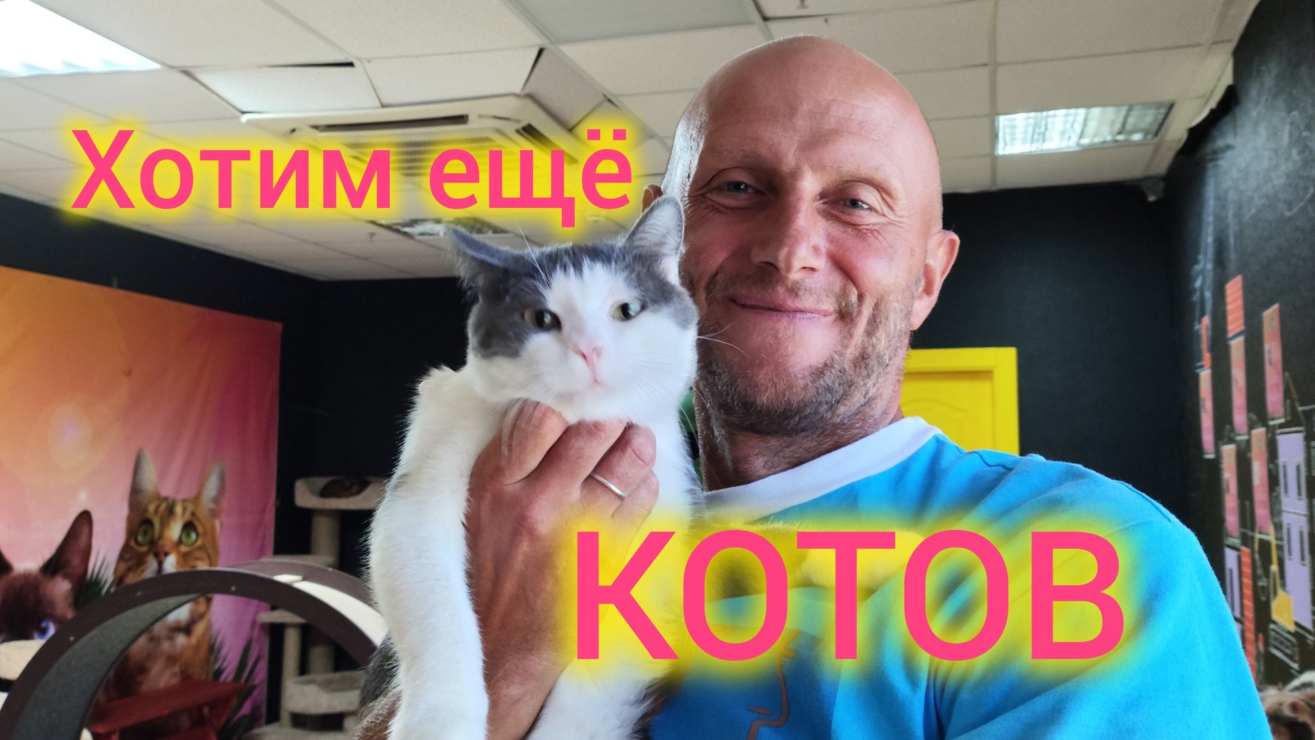 Ейск🍒/В городе нет связи/Больше никаких ФИЛЬТРОВ/Мало нам своих котов... 🫣 смотреть онлайн