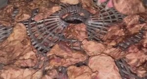 Делаем лакомство для собак - сушим легкое, очень экономично.