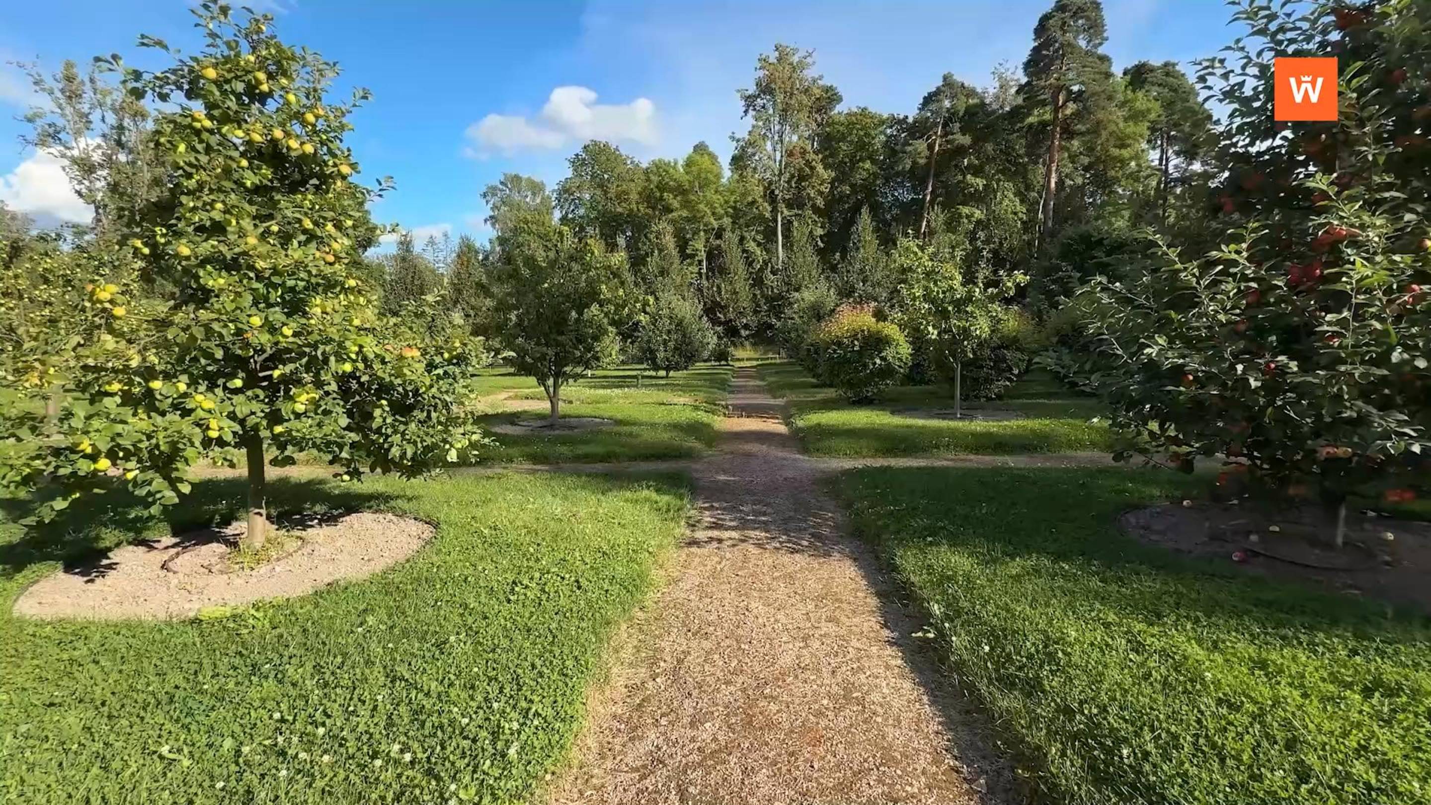 Итоговая программа «Город» от 29 августа 2025 года смотреть онлайн