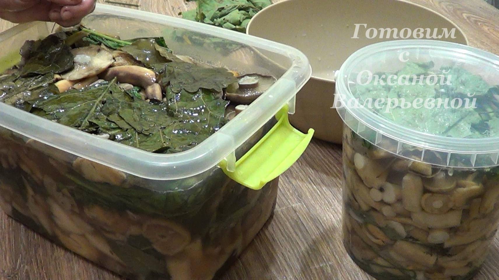 Засолка груздей (холодный способ с рассолом). Солим грузди-скрипуны. Готовим с Оксаной Валерьевной. смотреть онлайн