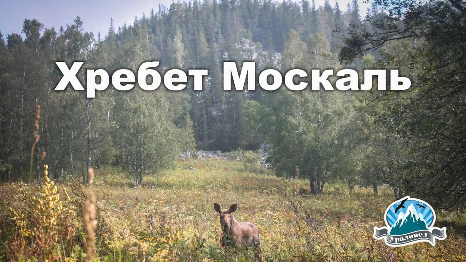 Хребет Москаль - "Ведьмина гора" | Ураловед смотреть онлайн