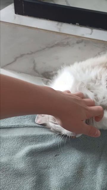 вот что это такое смотреть онлайн