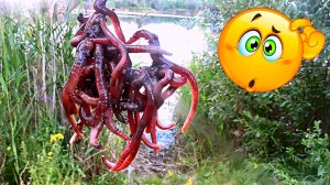 Карась на пучок червей! Реакция рыбы, подводная съемка