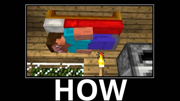 WAIT WHAT (Minecraft)#1🎦
