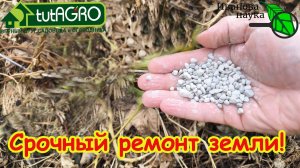 БРОСАЮ ГОРСТЬ НА СОТКУ И ЗЕМЛЯ КАК НОВАЯ! Запомните этот лучший способ обновления земли!