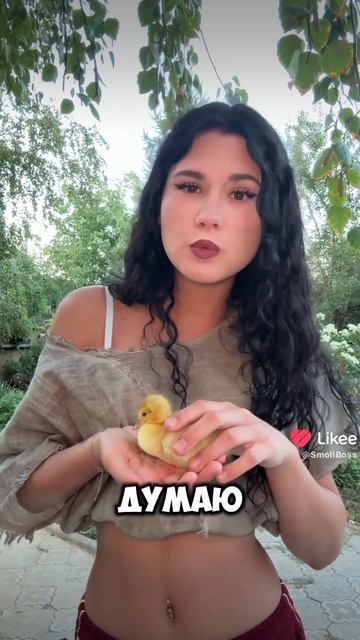 Like_7543173981527647044.mp4 смотреть онлайн