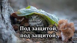 104. Буду жить под защитой Твоих крыл