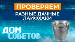 Подтверждаем или опровергаем полезные советы из интернета - проверяем разные дачные лайфхаки