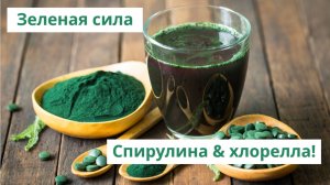 Зеленая сила: спирулина & хлорелла!