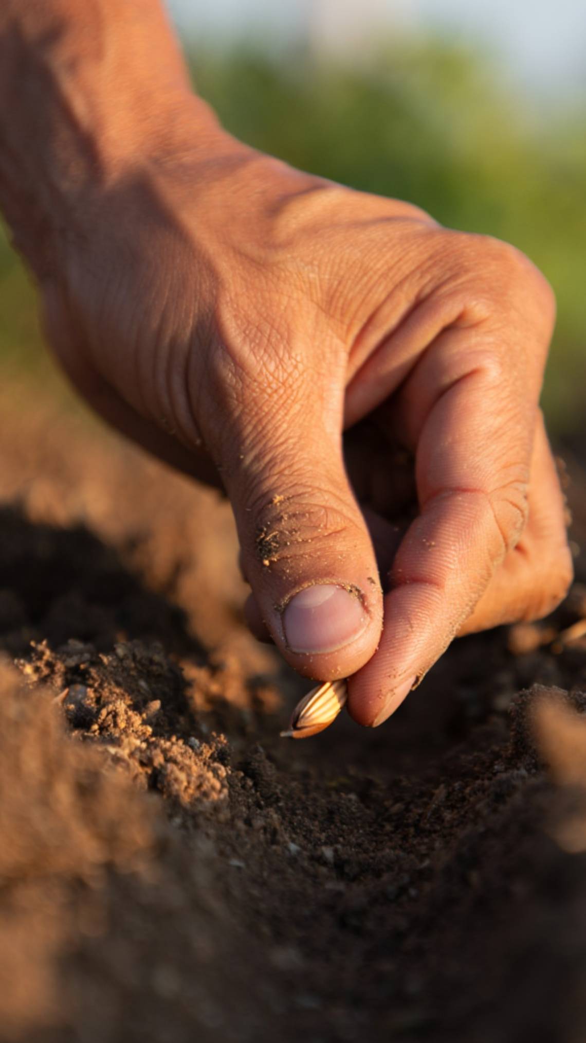 Молитва за душу человеческую! Семя добра! Премьера музыкальной прозы!