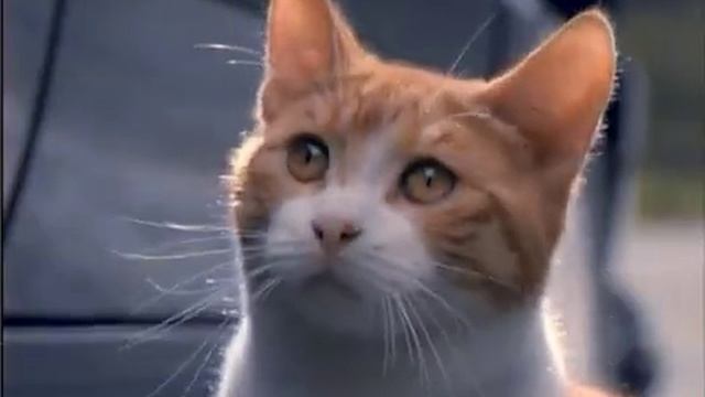 Volkswagen Passat B3