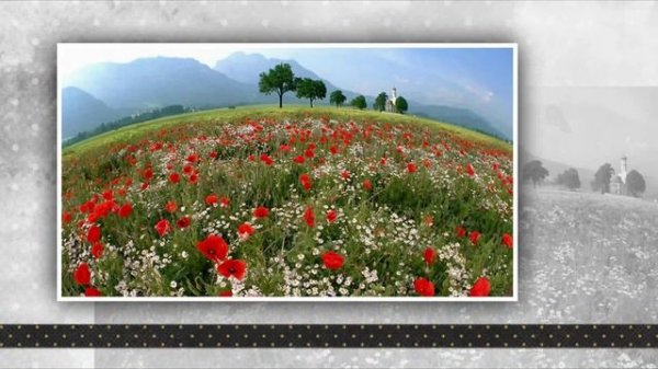 Diane Arkenstone - Curious Beauty