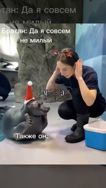 Рил смотреть онлайн