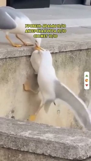 Уровень драмы 10 из 10