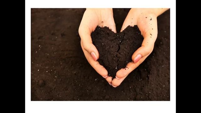 Обряд шаг в новое