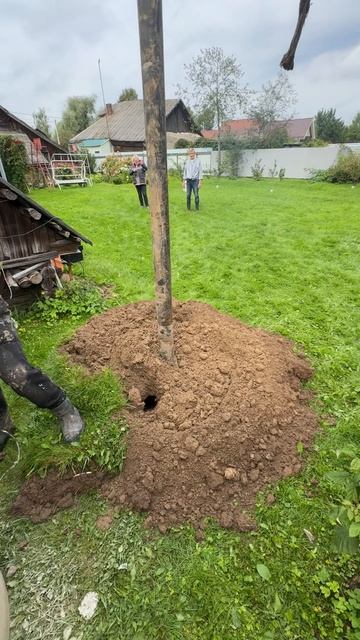 Бурение колодцев машиной смотреть онлайн