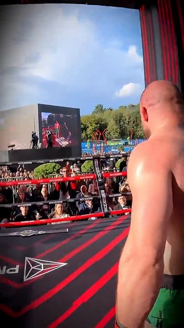 Штырков РОНЯЕТ экс-бойца UFC Петросяна — снято на камеру рефери смотреть онлайн