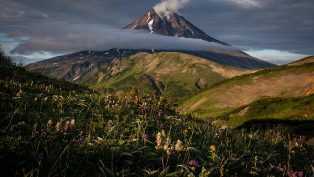 Красивое чтение Корана Ясир ад даусари смотреть онлайн