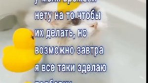нечего не поделать ¯\_(ツ)_/¯
