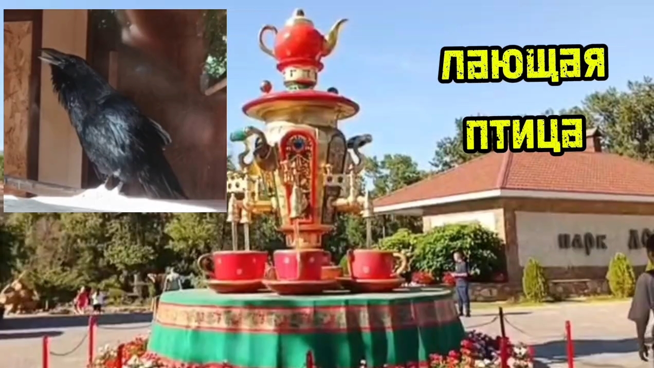 Ейск ! Документы получила, выбор подрядчика, Алексей в дороге, куда они завернули ?!! 29-08-2025. смотреть онлайн