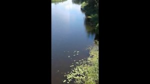 Ты только осень ( дуэт ) стихи муз исп Михаил Артемьев исп фото Татьяна Талызина