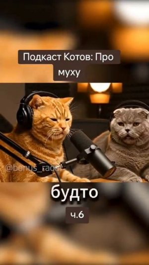 Кошки Нейросеть на радио прикол ИИ