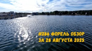 #286 Форель на железо 28 августа 2025