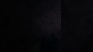 Кровавый Зомби В Реальной Жизни Кэтнэп И Догдей Пришли На Помощь