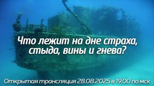 Что лежит на дне страха, стыда, вины и гнева?