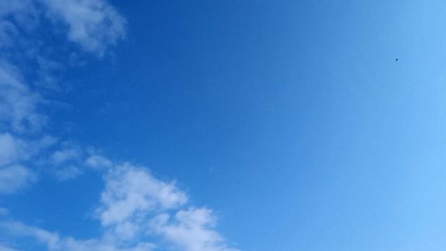 Идем по заброшенной Рудаковке (Петровский район)