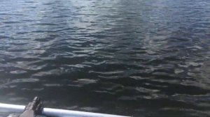 Как плывет лодка Ривьера 3200 ск под мотором 5 л.с(NS Marine NM 5 B DS)