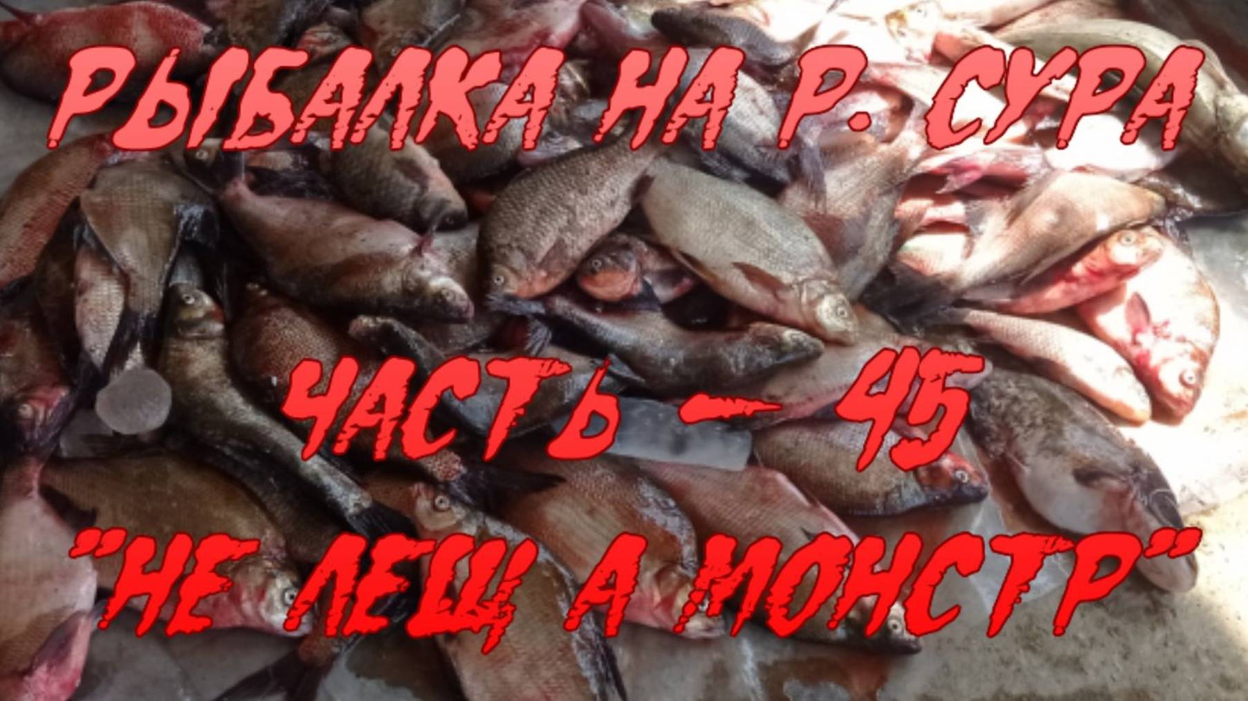 Рыбалка на р. Сура. Часть - 45. "Не лещ а монстр". смотреть онлайн