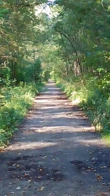 Осень на низком старте смотреть онлайн