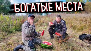 ПОЕХАЛИ ЗА КЛАДОМ В ГЛУШЬ! Поиск монет в старой деревне.