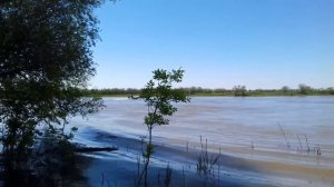 Лодка Nissamaran 320 tornado. Мотор sail 9.9