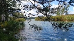 МЫ ОБА ИЩЕМ НАШЕ ЛЕТО🌞🌴🏄🎇