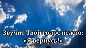 338. Ты  мой покой