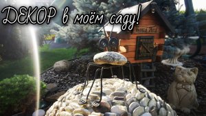 ДЕКОР в хвойном саду! Обзор! 24.08.2025г