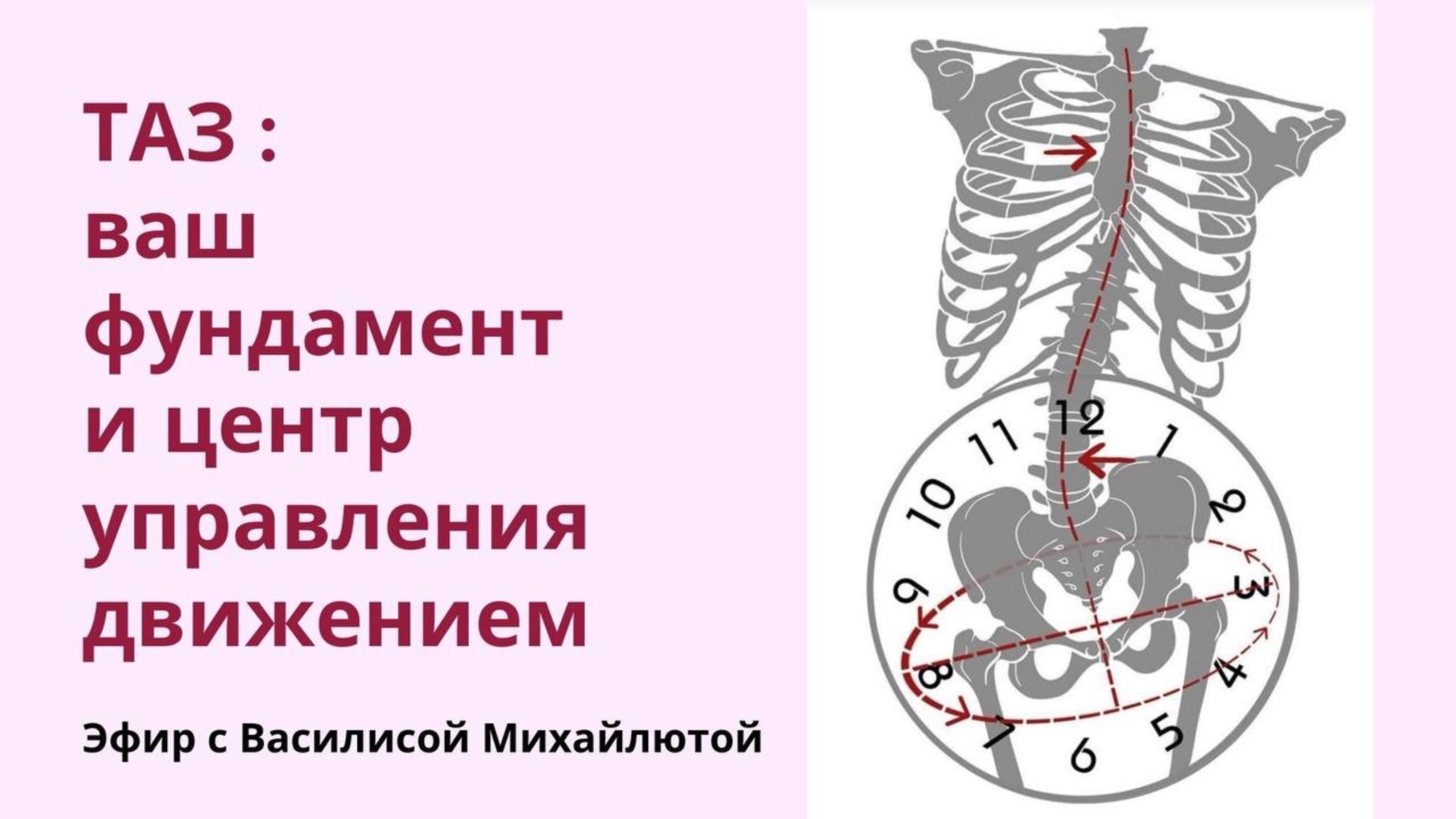 Вебинар "Таз: Перекресток Сил, Центр Тяжести и Начало Движения"