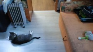 2022 г * Слегка ремонт * Моя чёлка * Дети говорят да