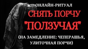 СНЯТЬ ПОРЧУ "ПОЛЗУЧАЯ": ОНЛАЙН-РИТУАЛ ЧИСТКА+ОБРАТКА